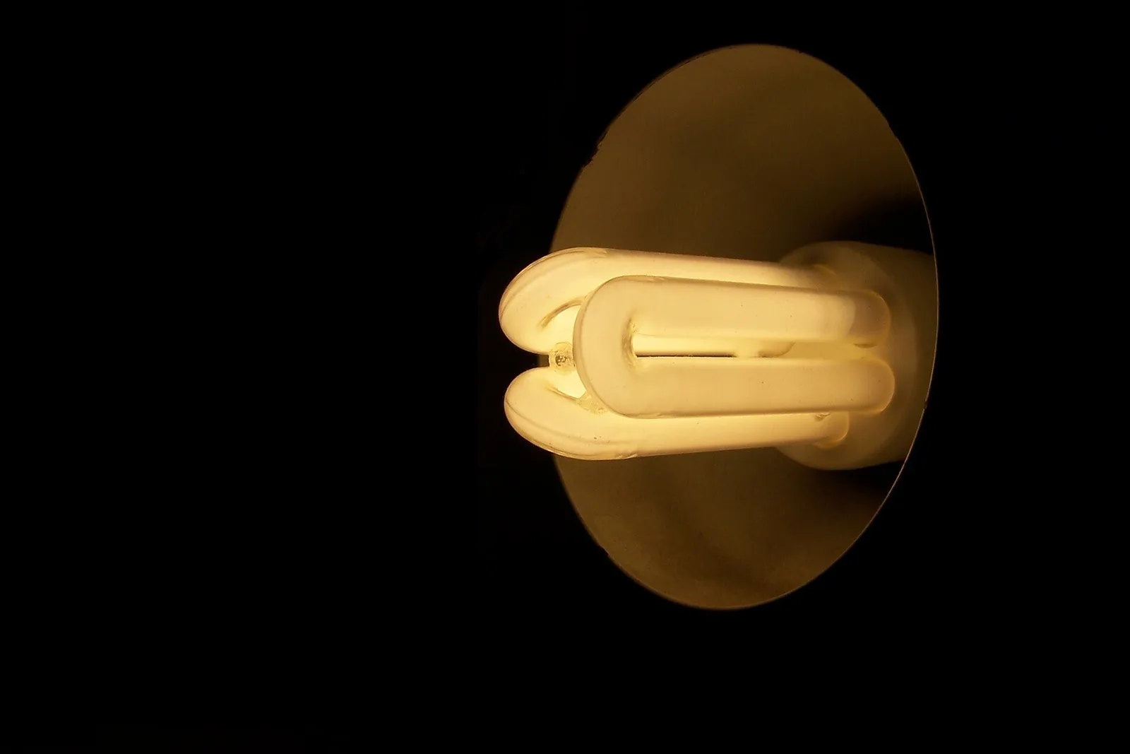 Una lampadina a basso consumo accesa