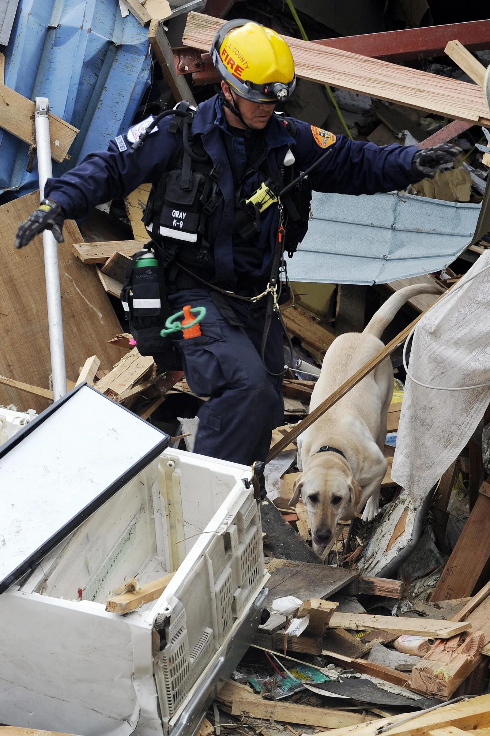 Un cane da soccorso al lavoro tra le macerie