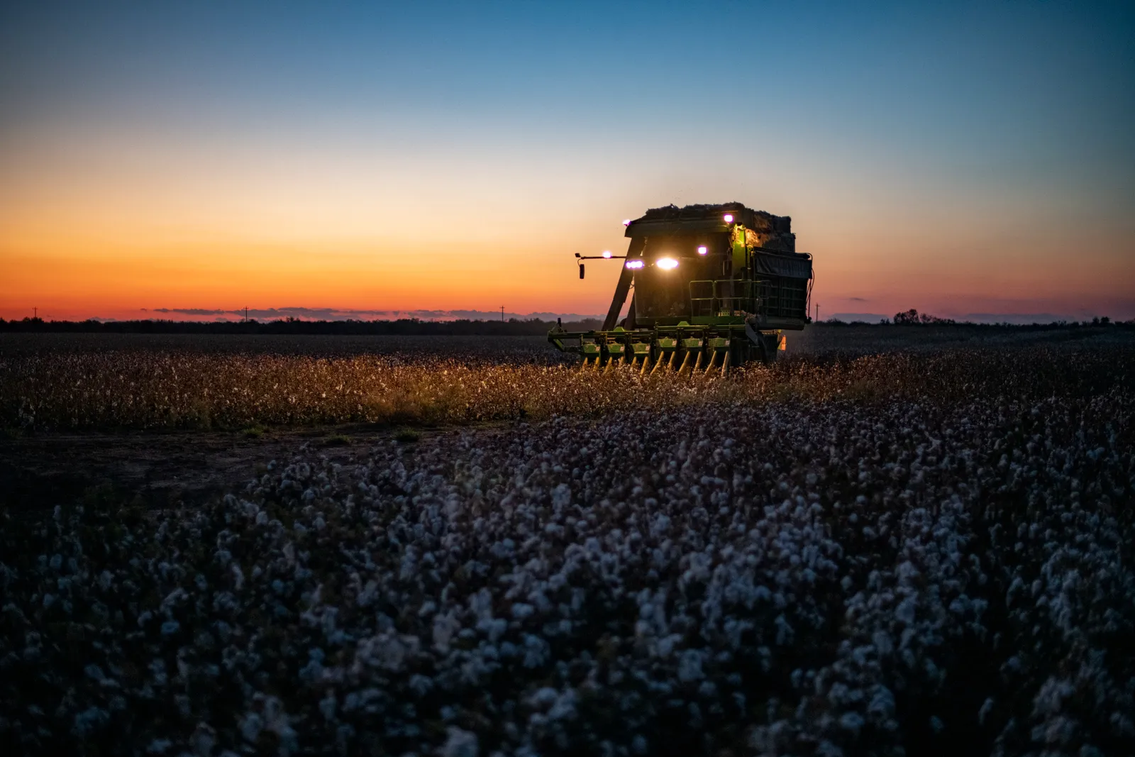 Lavoratori in un campo agricolo sotto il sole (immagine d'archivio)