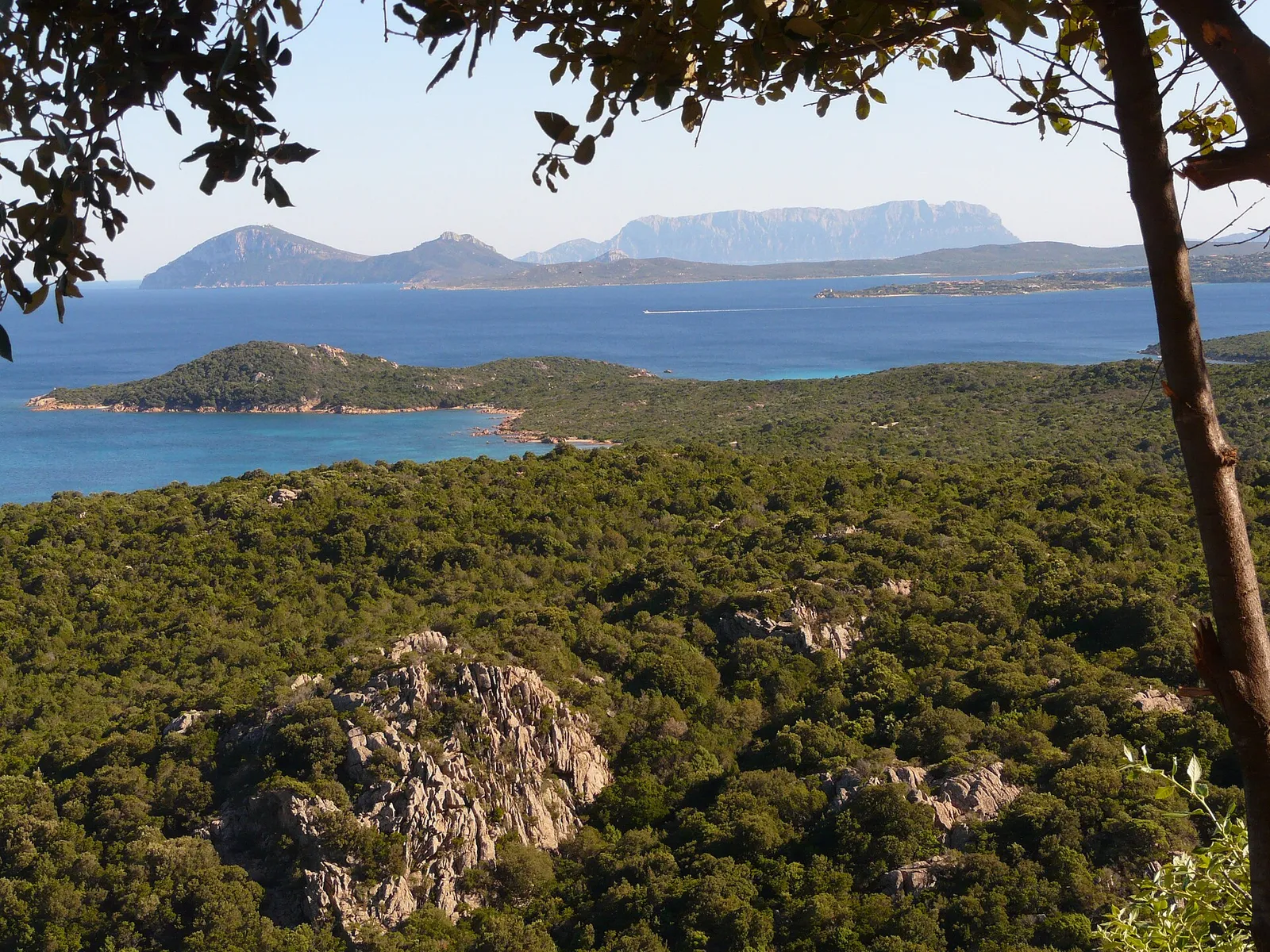 La costa della Sardegna
