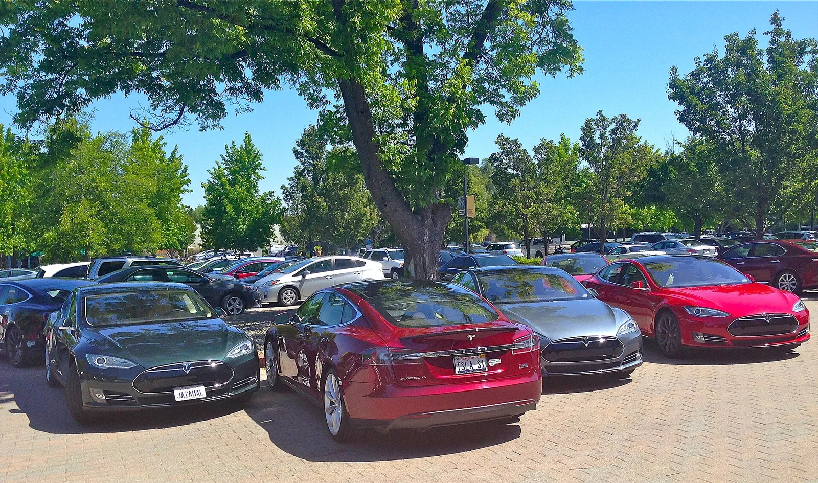 Numerose automobili Tesla Model S