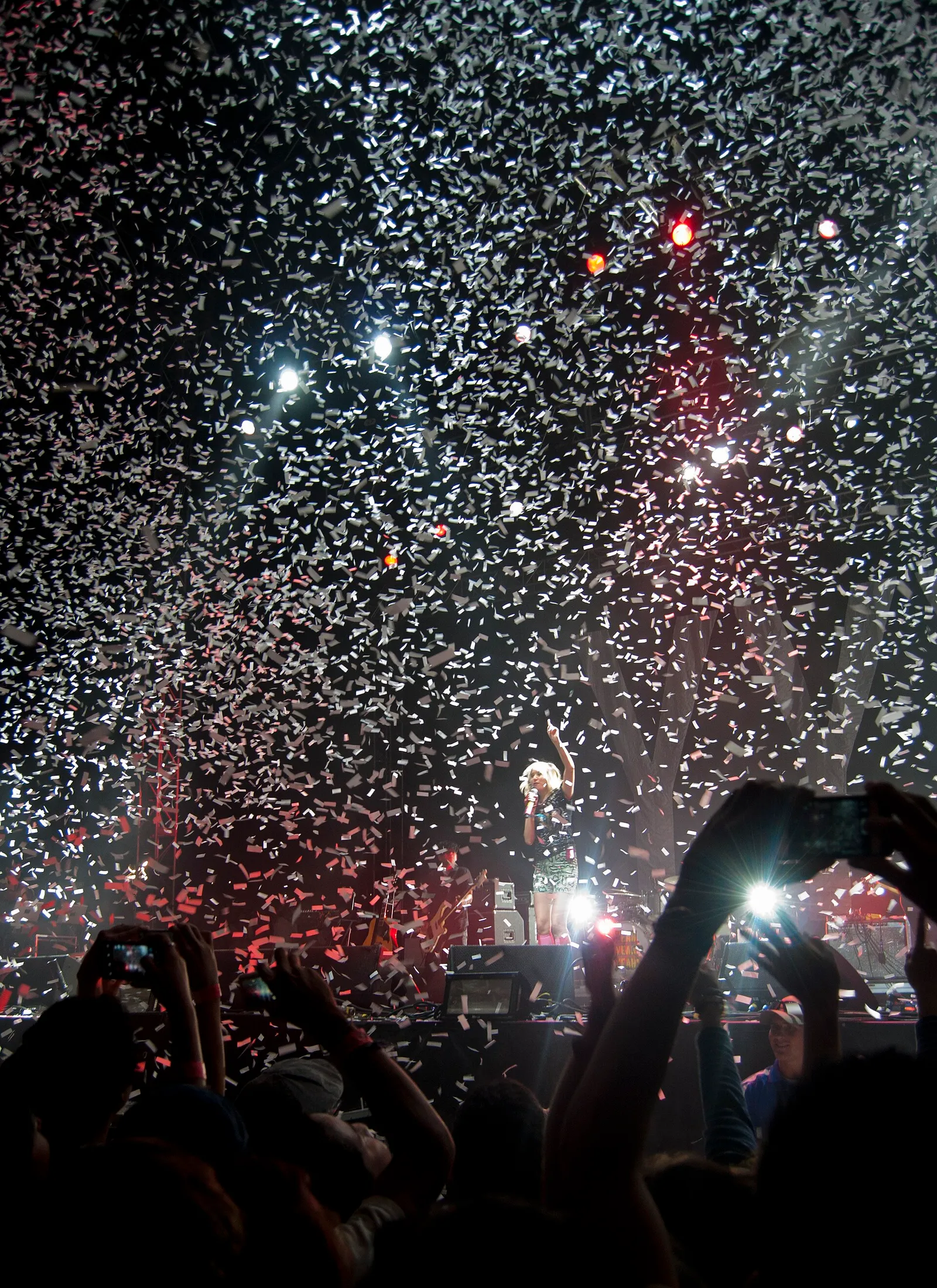 Il pubblico di un concerto davanti al palco (immagine di contesto)