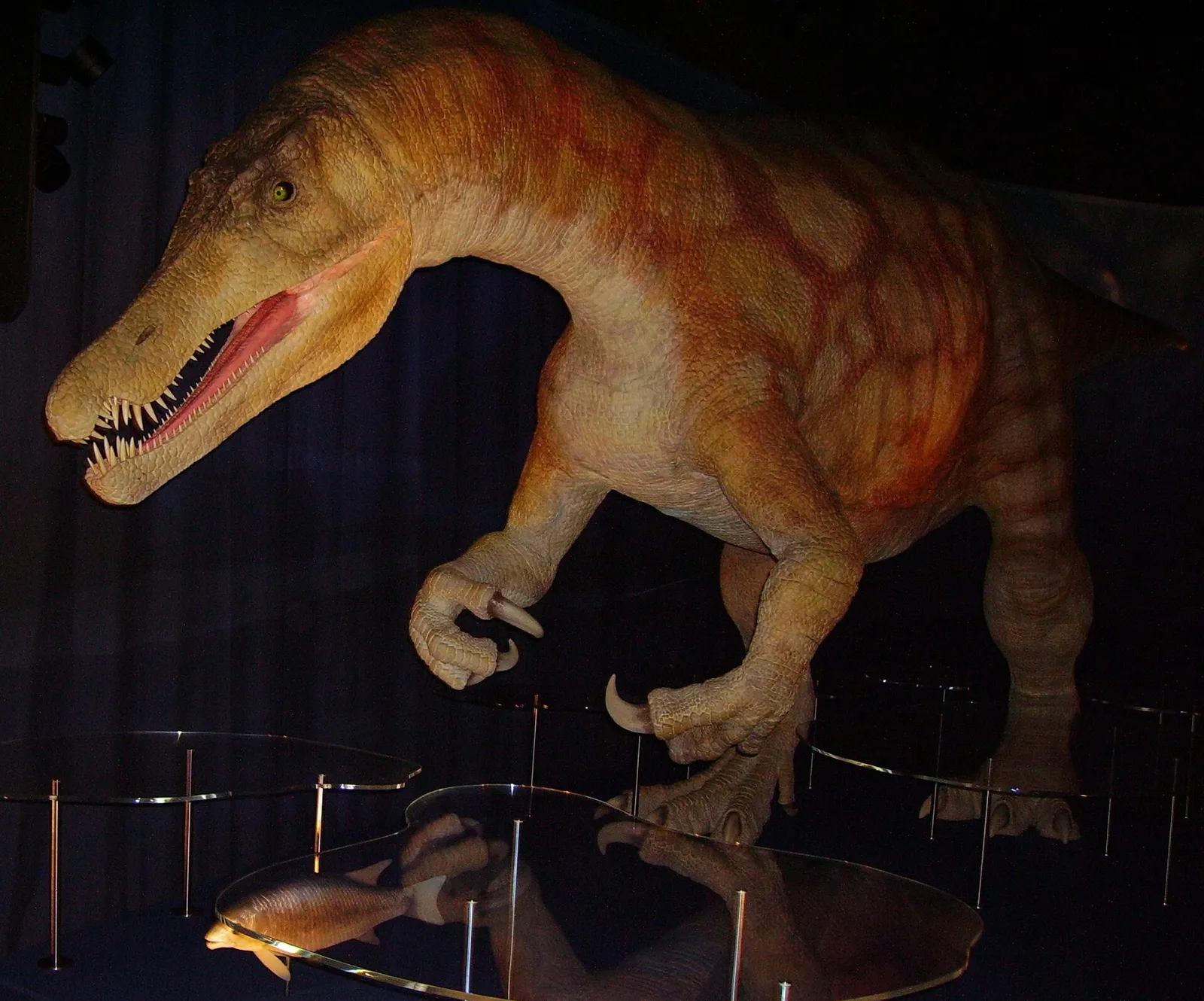 Un modello animatronico di dinosauro in una mostra