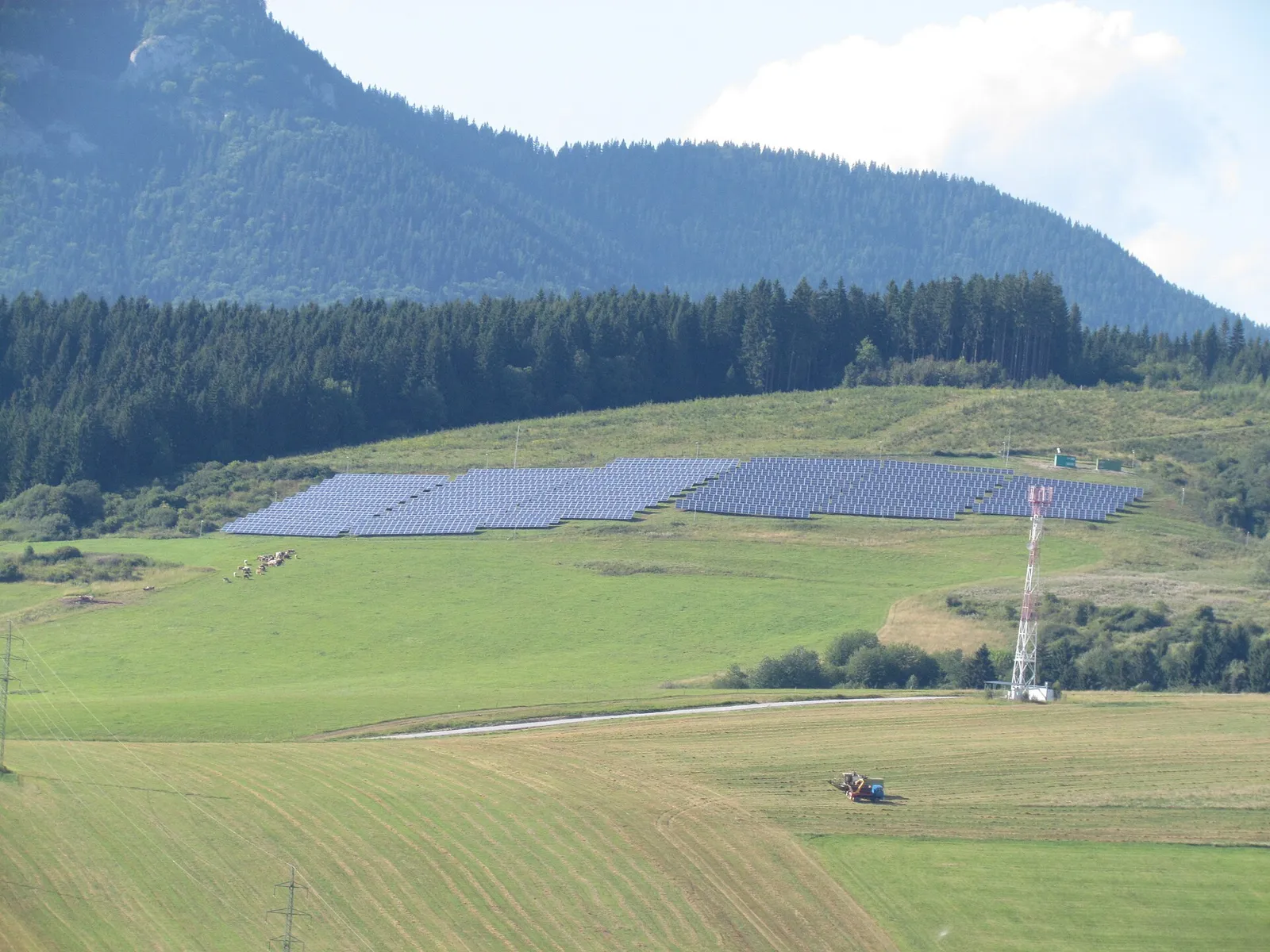 Un campo di pannelli fotovoltaici
