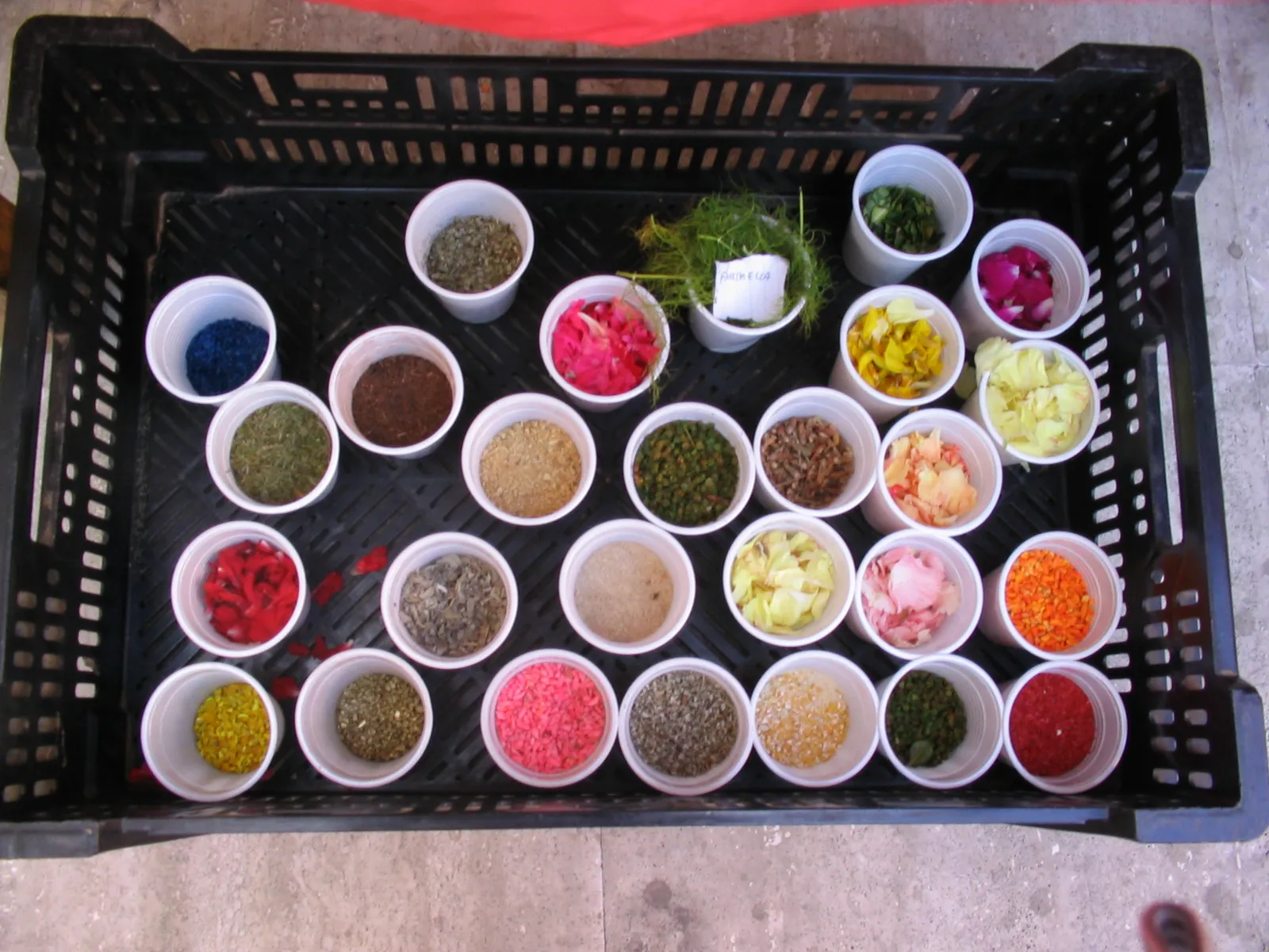 Petali colorati pronti per la composizione di un'infiorata