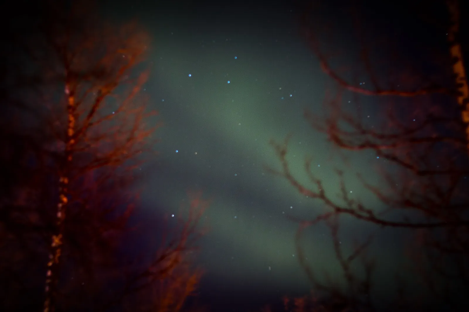 Luci insolite in un cielo notturno