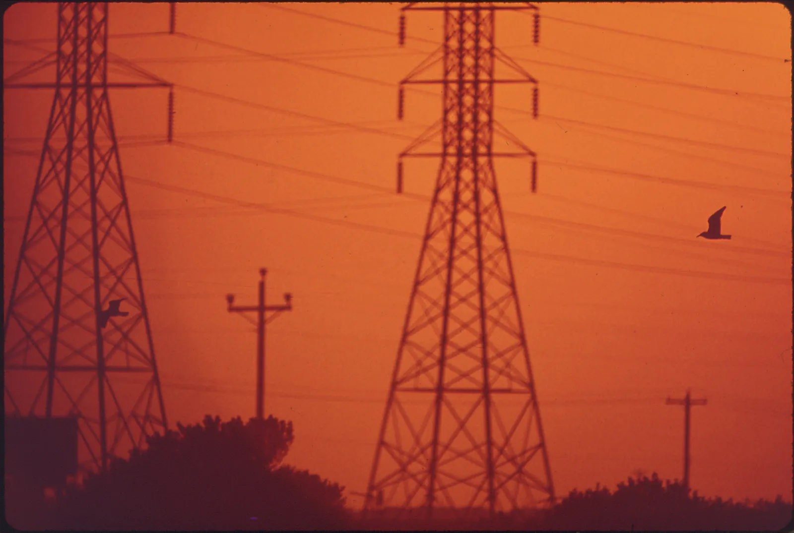 Linee elettriche ad alta tensione al tramonto (immagine d'archivio)